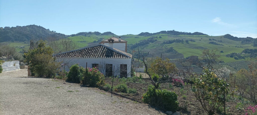 Detached Villa Ronda Málaga - image 19