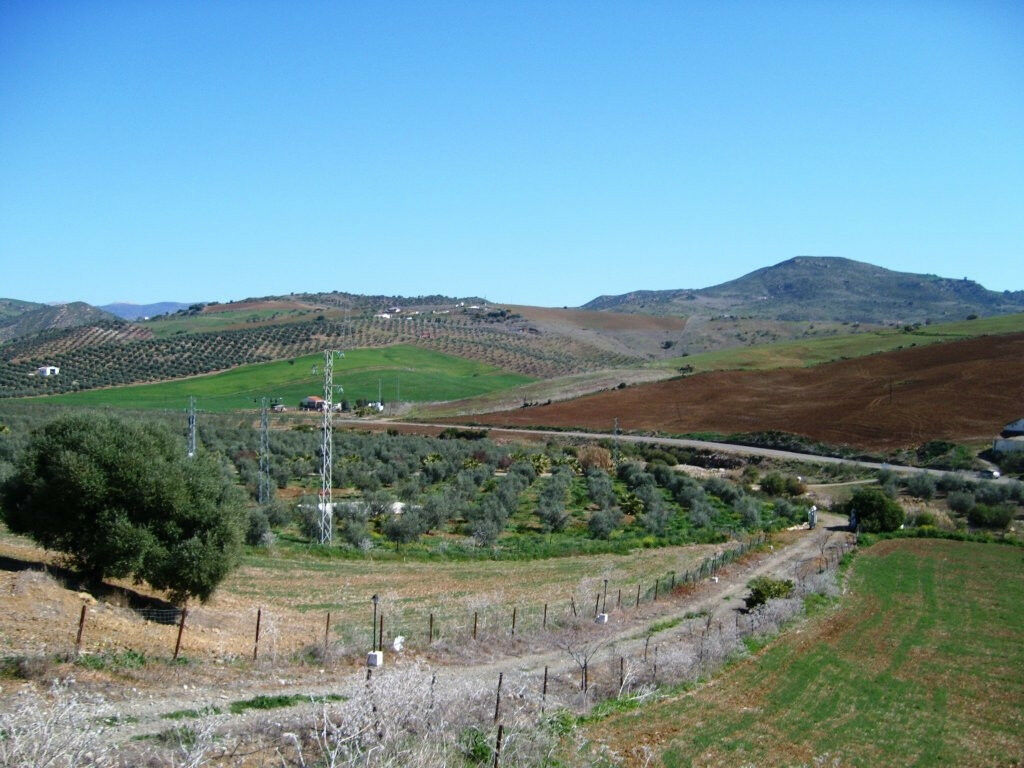 Finca - Cortijo Alora Málaga - image 19