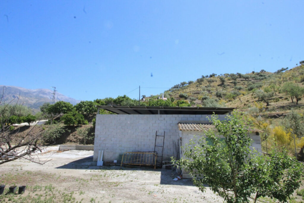 Finca - Cortijo Canillas de Aceituno Málaga - image 19