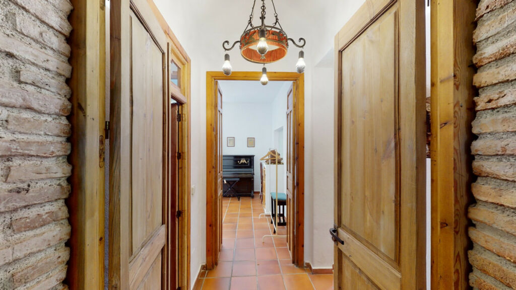 Detached Villa Sayalonga Málaga - image 19