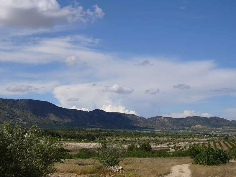 Finca - Cortijo Salinas Alicante - image 19
