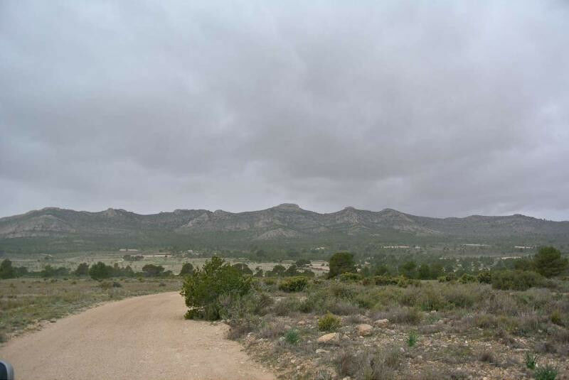 Land Yecla Murcia - image 19