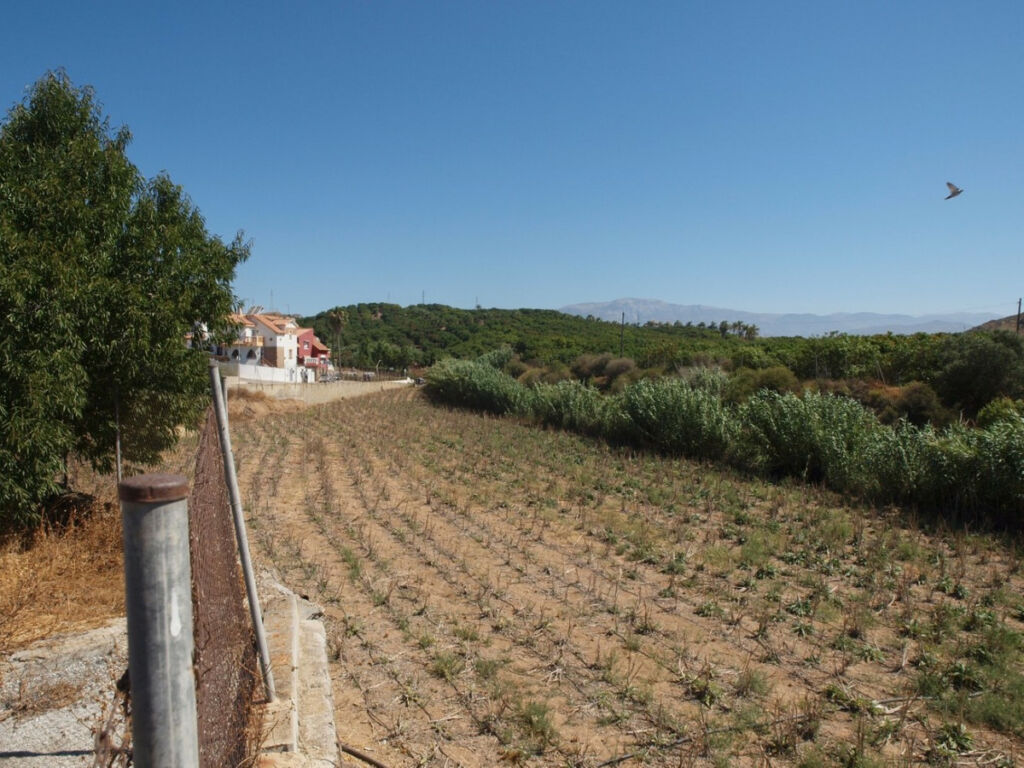 Finca - Cortijo Almayate Málaga - image 19