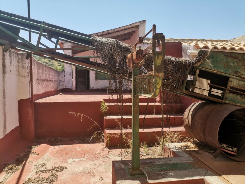 Finca - Cortijo Alcaucín Málaga - image 19