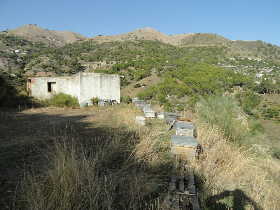 Land Cómpeta Málaga - image 19