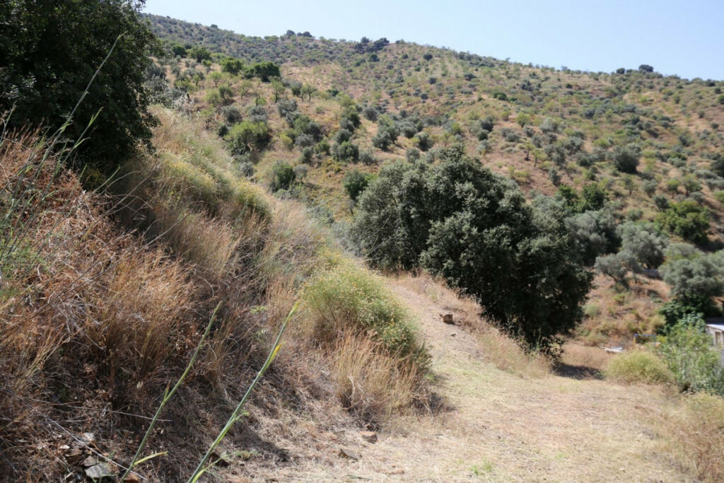 Land Totalán Málaga - image 19