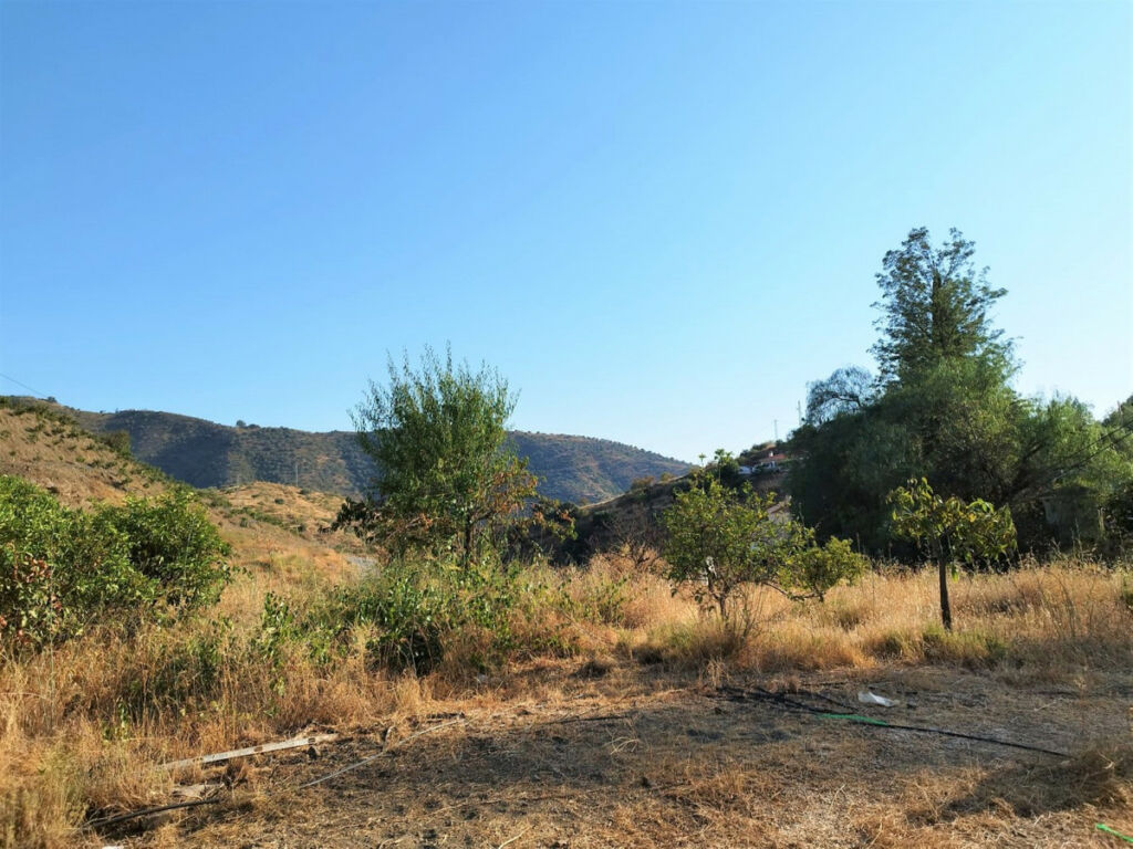 Finca - Cortijo Canillas de Aceituno Málaga - image 19