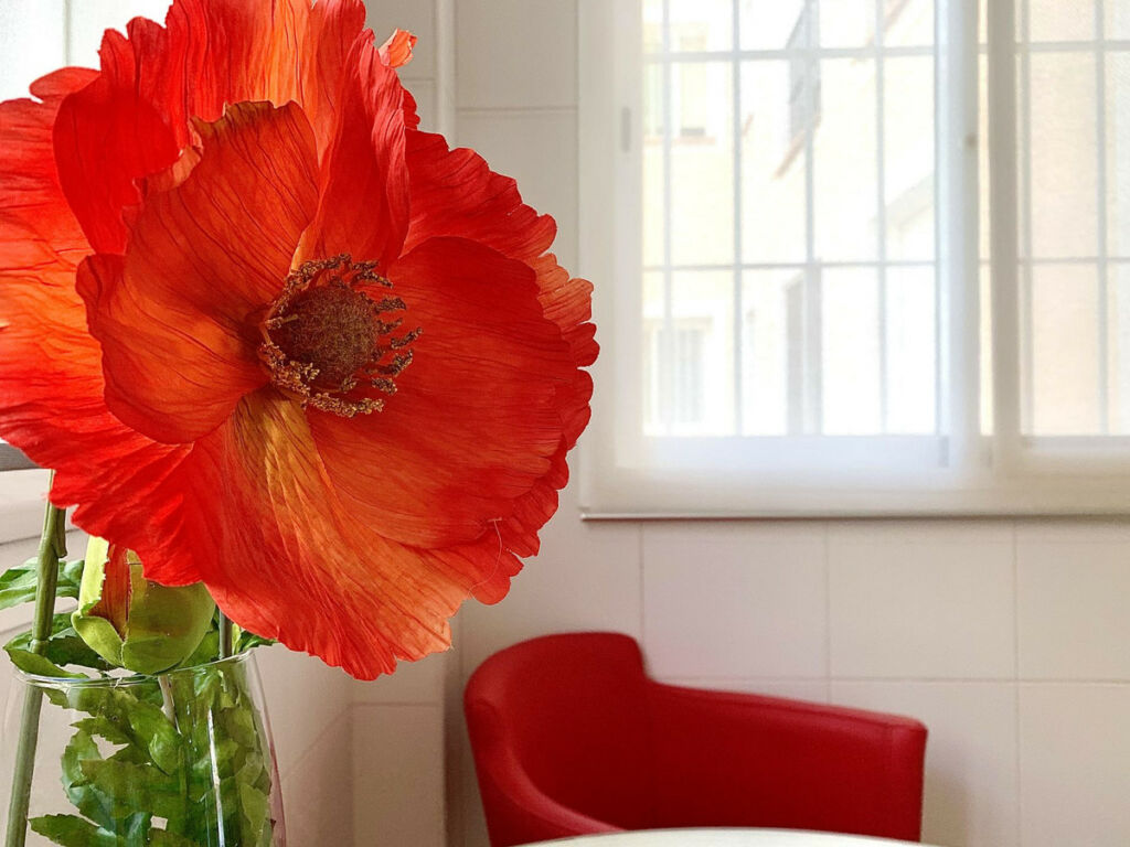 Middle Floor Apartment Altea Alicante - image 19