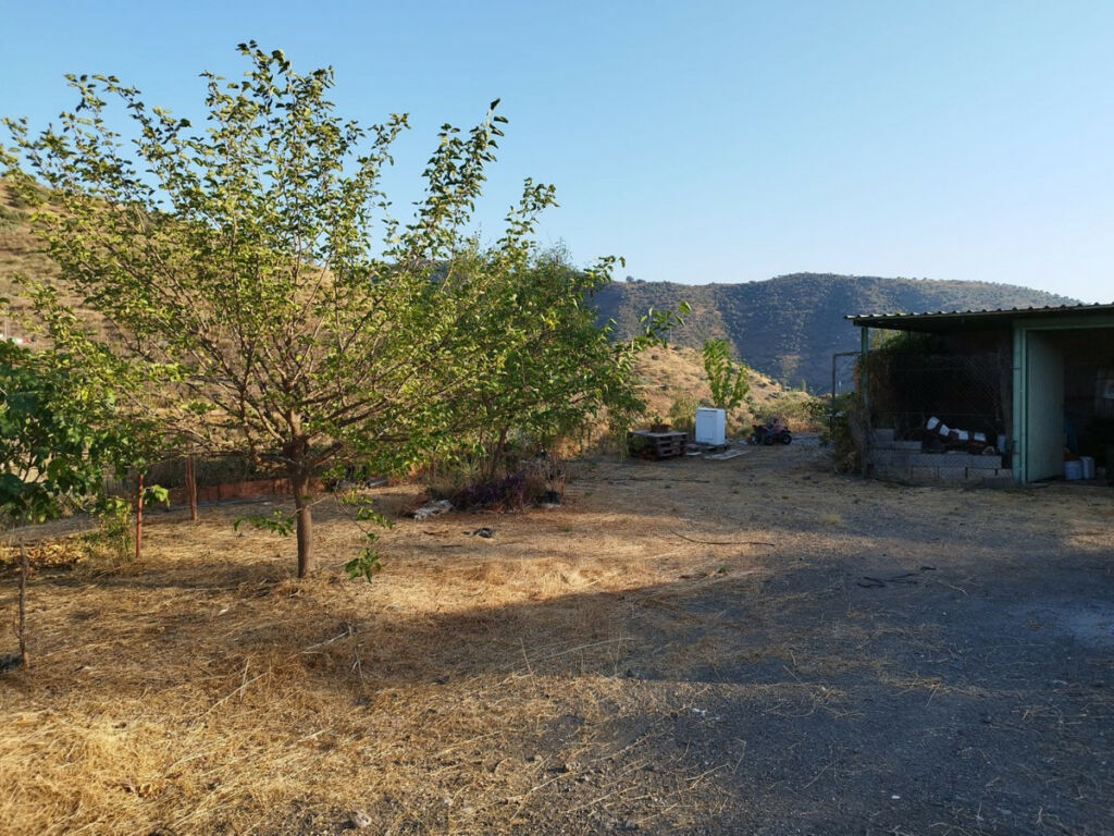 Finca - Cortijo Canillas de Aceituno Málaga - image 2