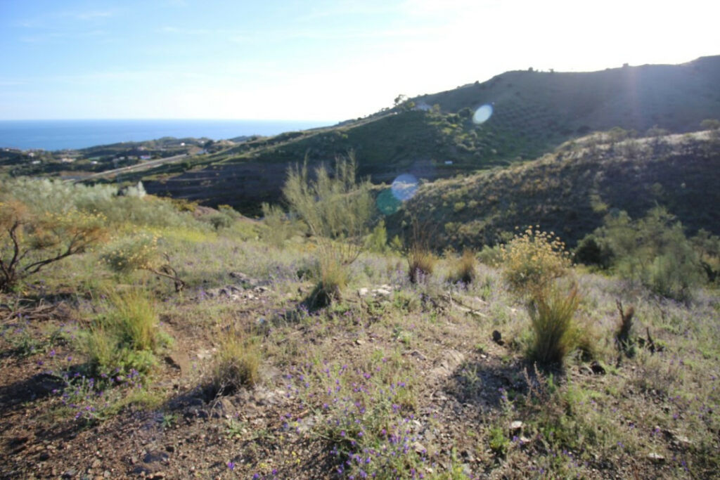 Land Benajarafe Málaga