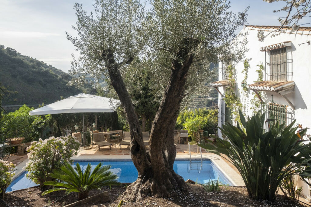 Detached Villa Sayalonga Málaga - image 2