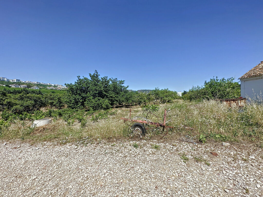 Farm Doña Julia Málaga - image 2