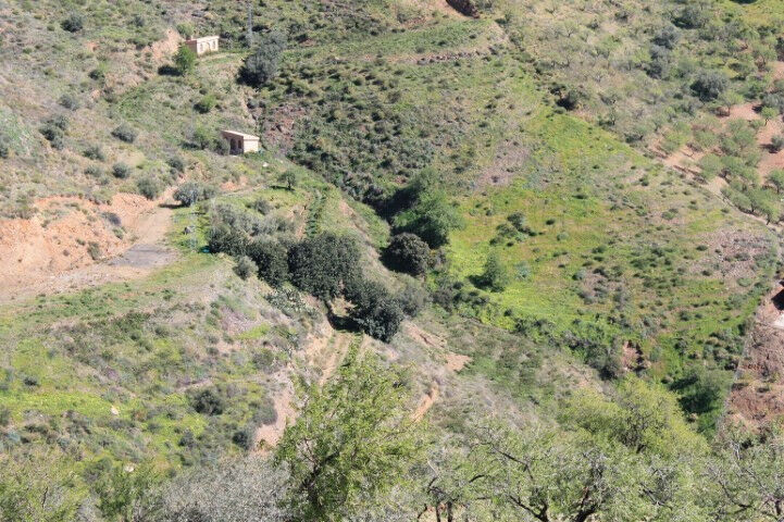 Land El Borge Málaga - image 2