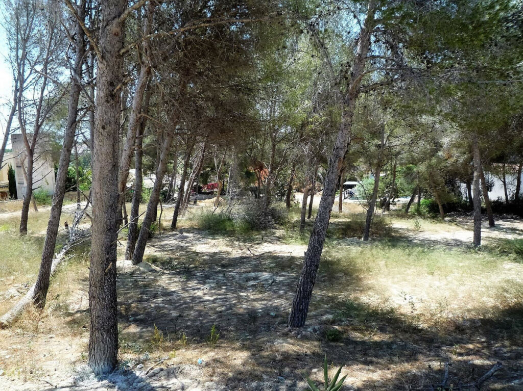 Land Teulada Alicante - image 2
