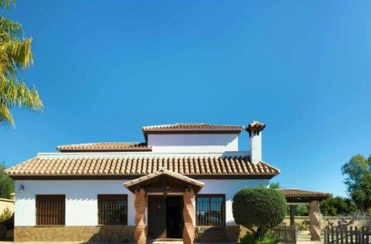 Detached Villa Estepona Málaga - image 2