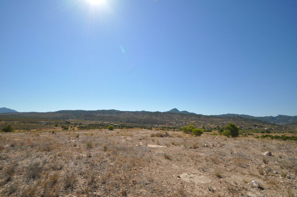 Land Macisvenda Murcia - image 2