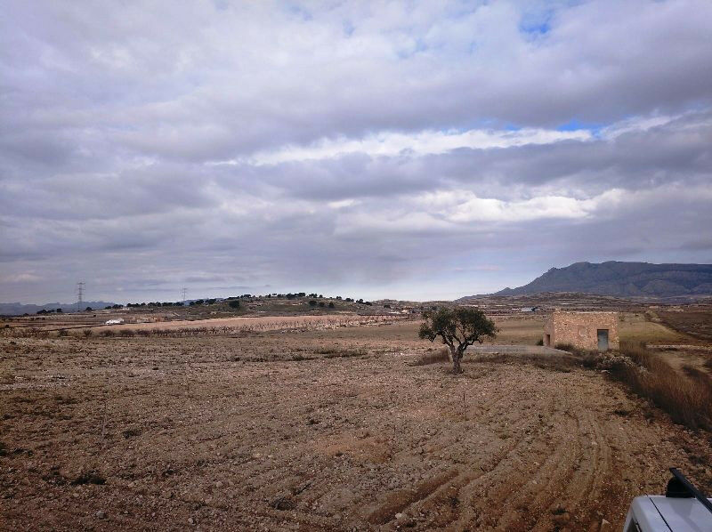 Land Torre Del Rico Murcia - image 2
