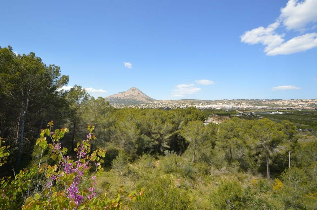 Land Javea Alicante - image 2