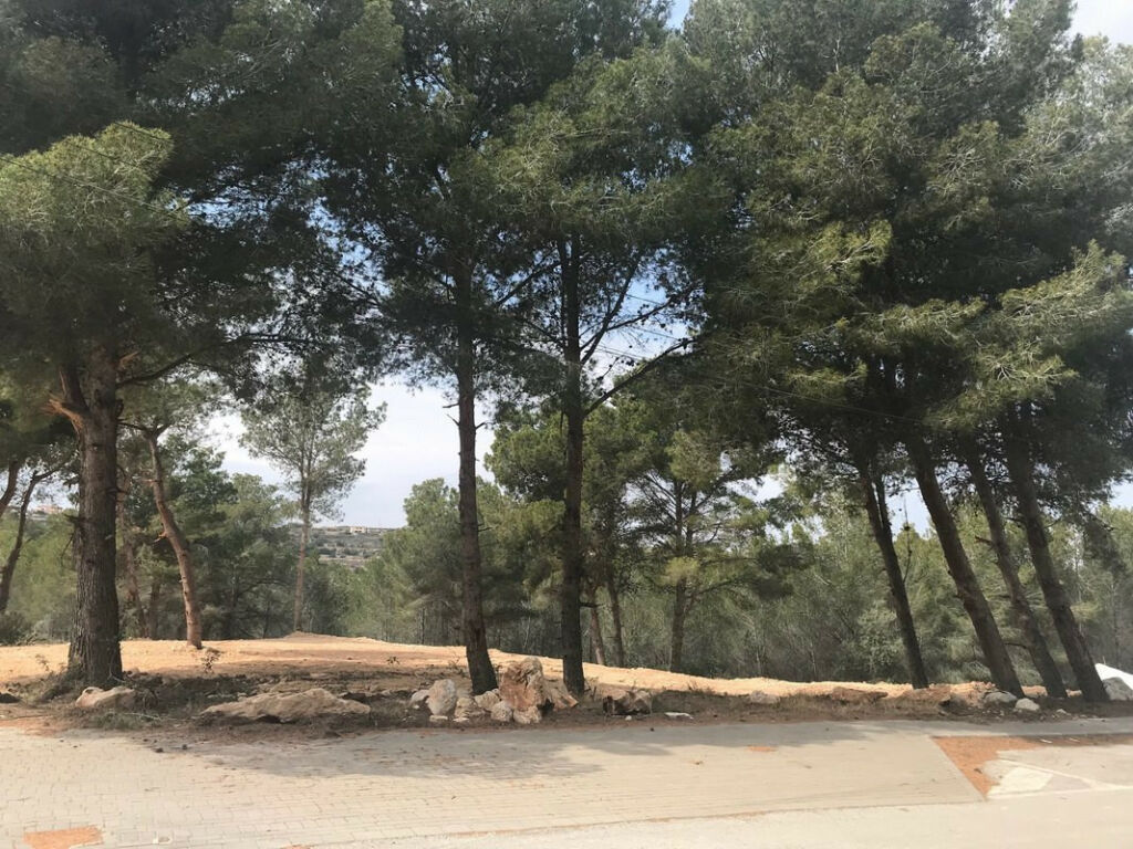 Land Moraira Alicante