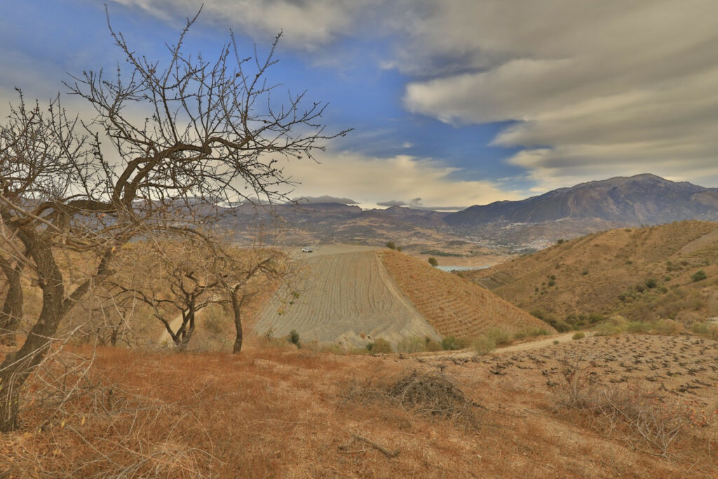 Land La Viñuela Málaga - image 2