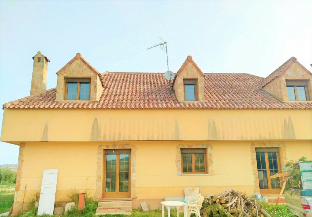 Detached Villa Aspe Alicante - image 2