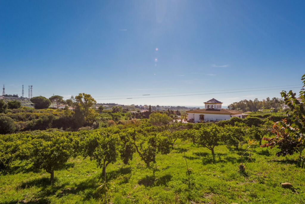Detached Villa Estepona Málaga - image 2