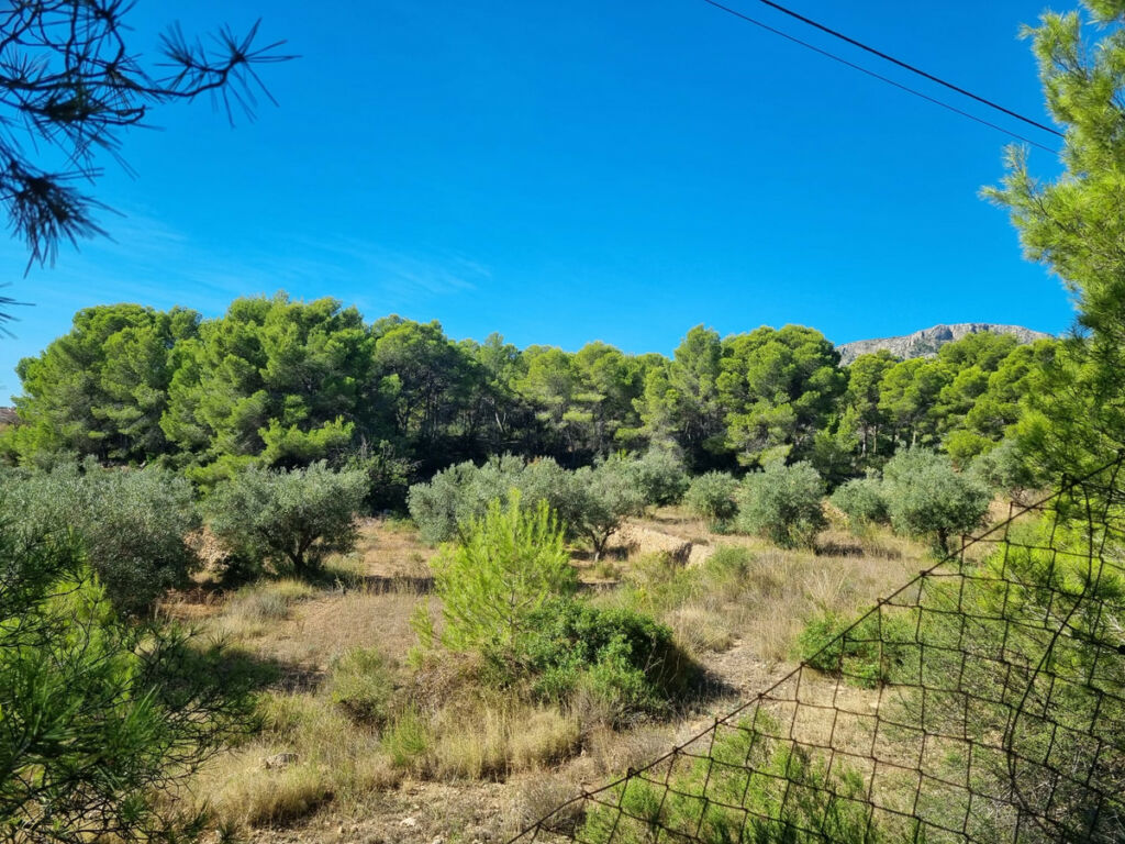 Land Calpe Alicante - image 2
