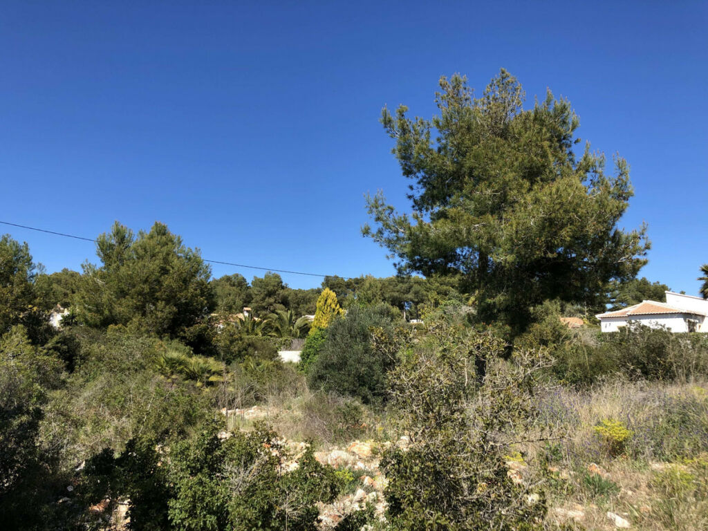 Land Javea Alicante - image 2