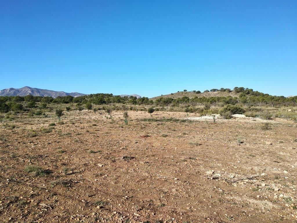 Residential Plot Relleu Alicante - image 2