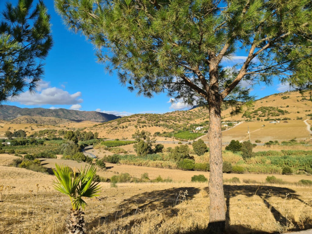Finca - Cortijo Pizarra Málaga