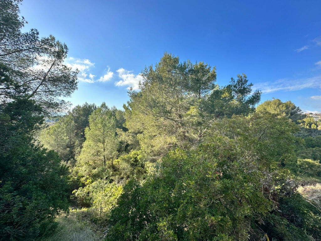 Land Calpe Alicante - image 2