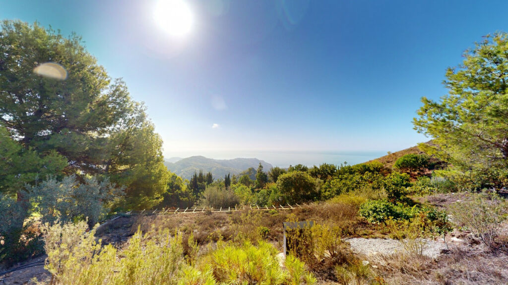 Detached Villa Nerja Málaga - image 4