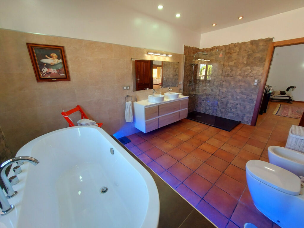 Finca - Cortijo Bigastro Alicante - image 19