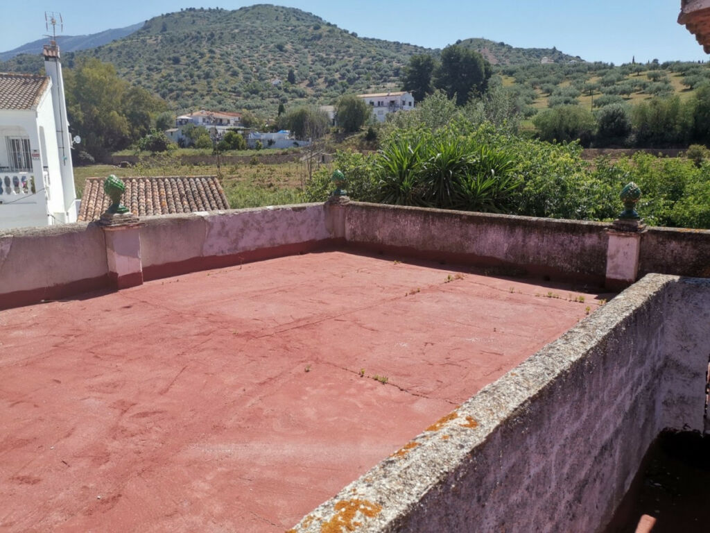 Finca - Cortijo Alcaucín Málaga - image 21