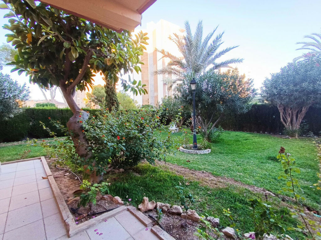 Middle Floor Apartment Campoamor Alicante - image 21