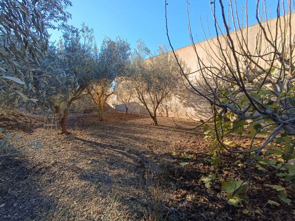 Detached Villa Avileses Murcia - image 21