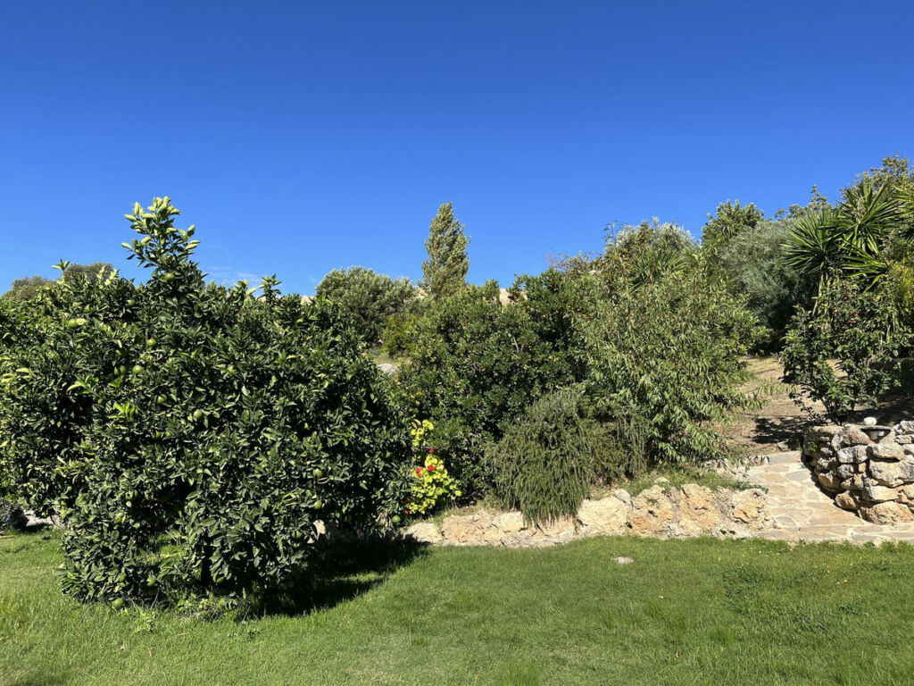 Land Ronda Málaga - image 19
