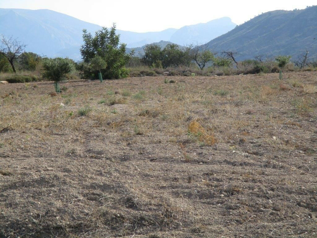 Residential Plot Relleu Alicante - image 22