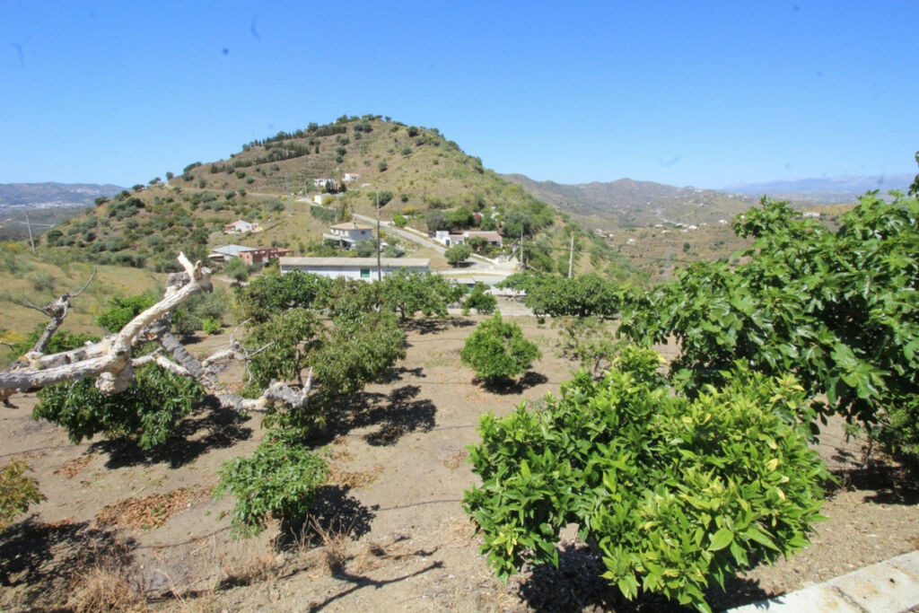 Finca - Cortijo Canillas de Aceituno Málaga - image 22