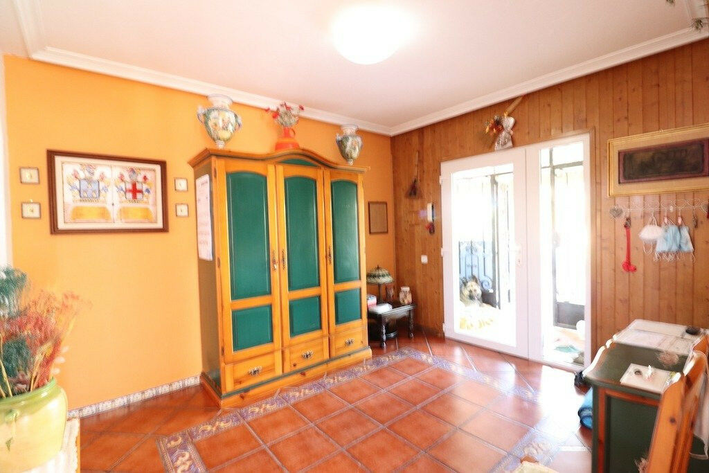 Detached Villa Torrevieja Alicante - image 22
