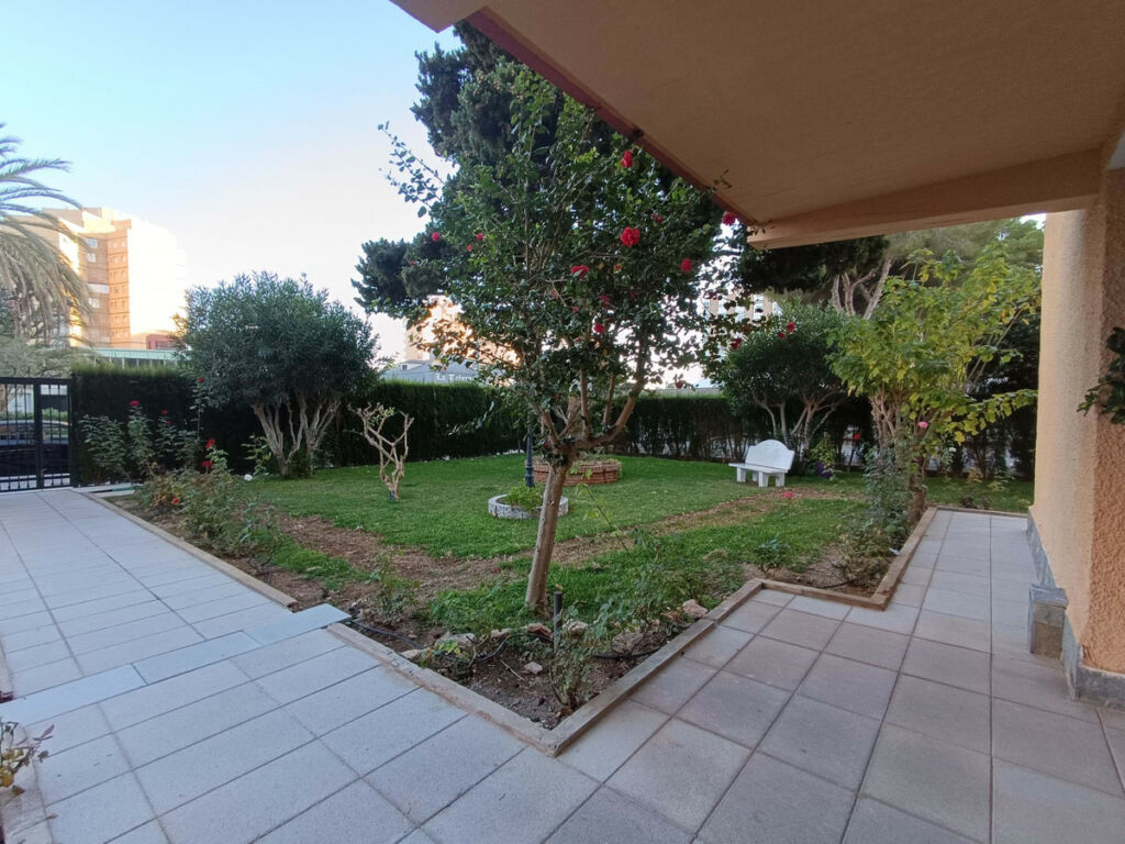Middle Floor Apartment Campoamor Alicante - image 22