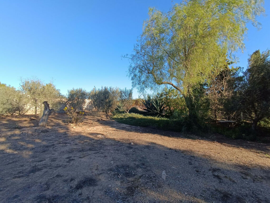 Detached Villa Avileses Murcia - image 23