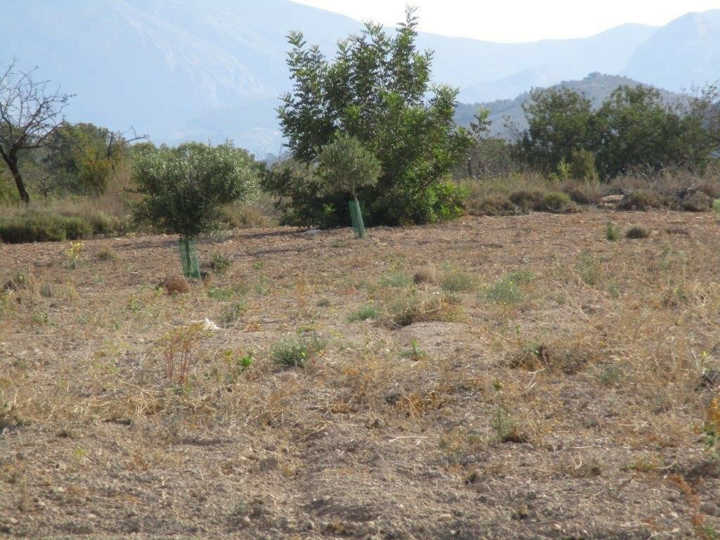 Residential Plot Relleu Alicante - image 23