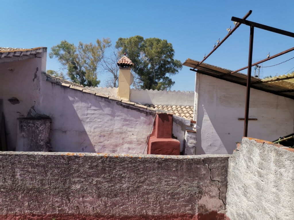 Finca - Cortijo Alcaucín Málaga - image 23