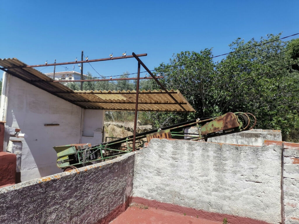 Finca - Cortijo Alcaucín Málaga - image 24