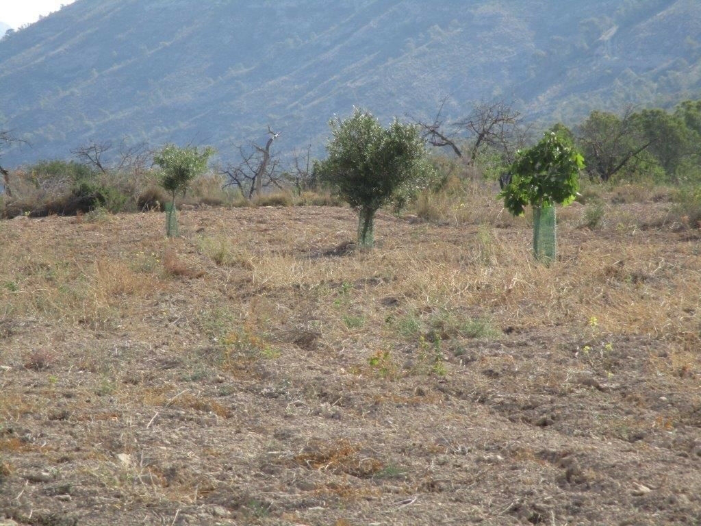 Residential Plot Relleu Alicante - image 24