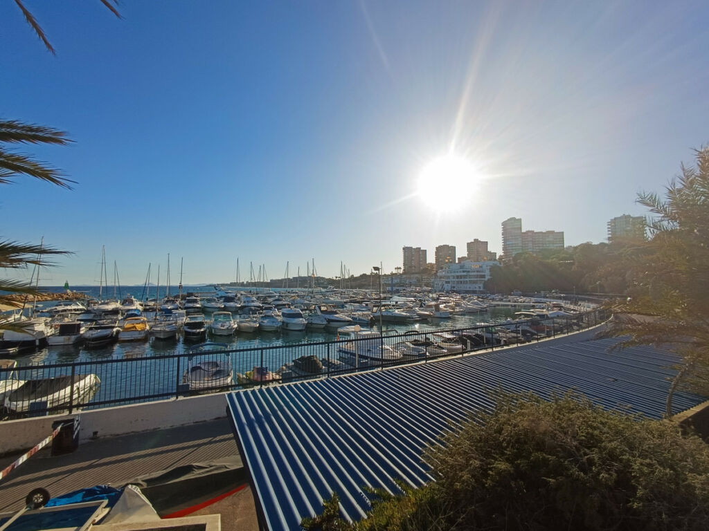 Middle Floor Apartment Campoamor Alicante - image 25