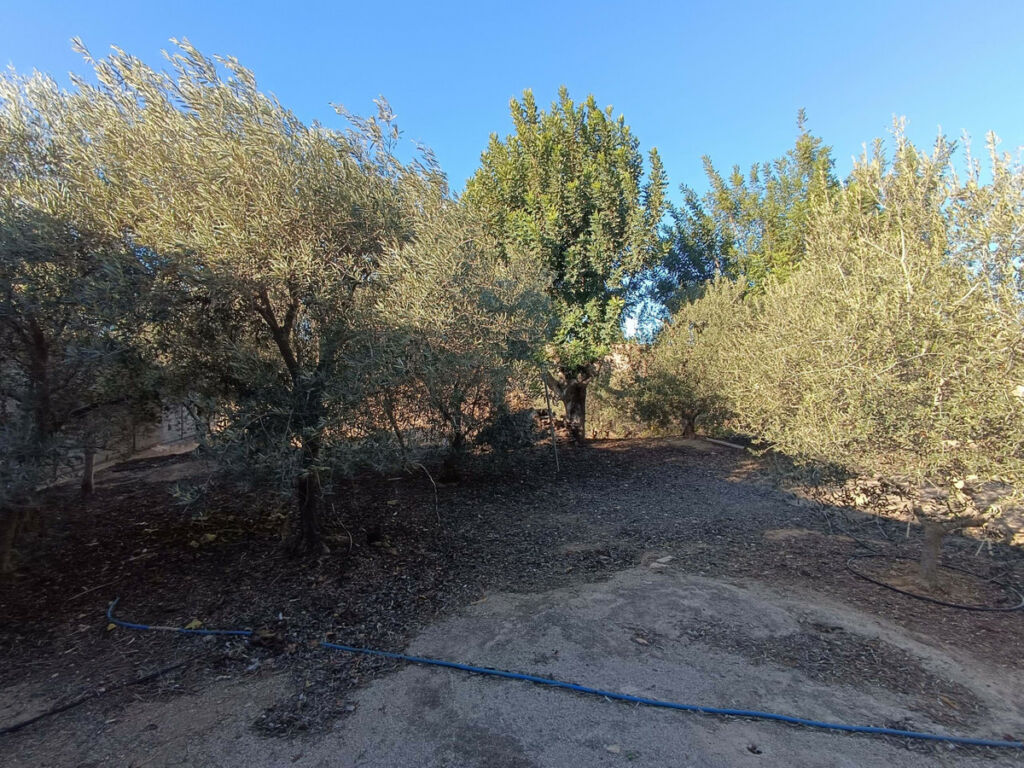 Detached Villa Avileses Murcia - image 25