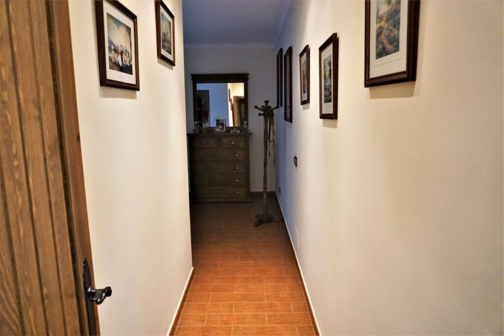 Detached Villa Sayalonga Málaga - image 25