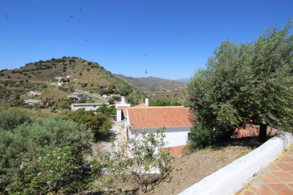 Finca - Cortijo Canillas de Aceituno Málaga - image 25